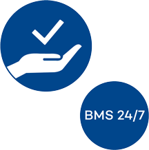 BMS Icon RZ Service